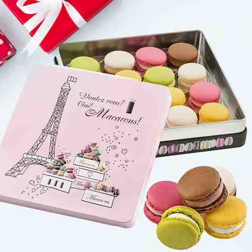 Macarons Chocolate Box