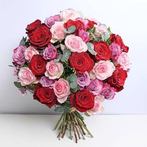 Elegant Red N Pink Rose Mix