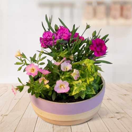 Colorful Mixed Flowers Arrangement