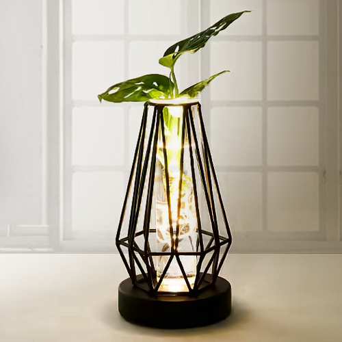 Waterplant Monstera