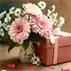 Women's Day Gifts